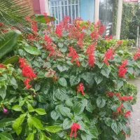 ادمین اینستاگرام وایدتوری در کافه