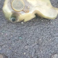 لوازم اصلی دوو استوک|قطعات یدکی و لوازم جانبی|کرج, گوهردشت|دیوار