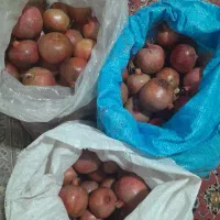 سلام انار ابدار و خوشمزه