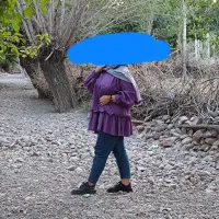 شومیز پرنسسی