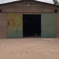 سوله