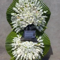کد68 بازارکل تاجگل اقتصادی دسته گل پرداخت درمحل|گل و گیاه طبیعی|تهران, شهرک محلاتی|دیوار