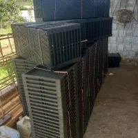 قالب (سینی) نشا