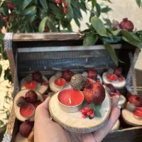 خدمات بادکنک آرایی ، تزیین شب یلدا ، کریسمس|خدمات پذیرایی، مراسم|ری, دولتآباد|دیوار