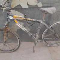 کناره ۵ متری|فرش|درگهان, |دیوار