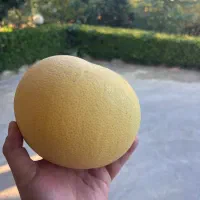 فروش سلطان مرکبات