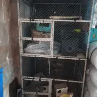 قفس مرغ و خروس