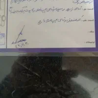 سمند ef7|خودرو سواری و وانت|قم, الغدیر|دیوار