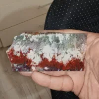 شجر پرچم وطن(شجر وطن پرست)