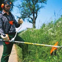 سمپاشی و علف تراشی|خدمات باغبانی و درختکاری|تنکابن, |دیوار