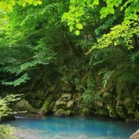 راهنمای گردشی