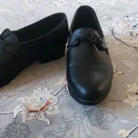 کفش زنانه رسمی|کیف، کفش، کمربند|طبس, |دیوار