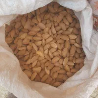 بادام مامایی قیمت ۱۴۰۰۰۰۰