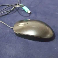 موس فیشی meva