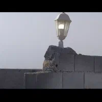 زمین-باغی-500-متری-با-آب-و-برق-سند-ششدانگ