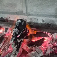 زغال|عمدهفروشی|بیرجند, |دیوار