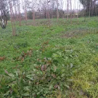 ۴۶۰مترزمین داخل بافت