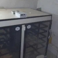 دستگاه جوجه کشی اسکندری 2016 تایی