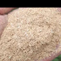 سبوس برنج،انگوتا کیفیت خوب درجه1