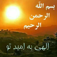 پرنده پیدا کردم