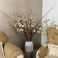 رهن و اجاره واحد سه خواب شهرک فرهنگیان مرودشت