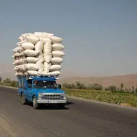 با سلام کاه دیمی گندم نرم تمیز