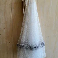 تور (سالی)کولی نو