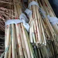 فروش جارو گال. عمده و خرده|لوازم نظافت|روانسر, |دیوار