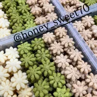 شیرینی خانگی(هانی)|خدمات پذیرایی، مراسم|سیرجان, |دیوار