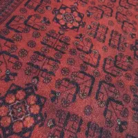 فرشینه|فرش|رشت, معلولین|دیوار