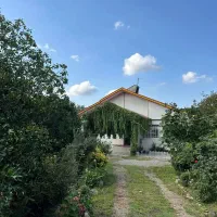 اجاره روزانه ویلا سر سبز روستایی