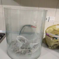 آکواریوم شیشه خم