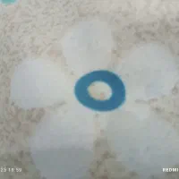 گوشی شیایومی نوت 14