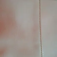 مدارک گمشده بنام یزداندوست