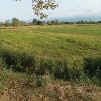 مزرعه کشاورزی