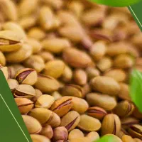 کود سولوپتاس