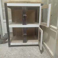 جفت کن یا گنجه کبوتر