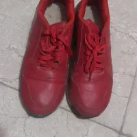 کتونی ورزشی