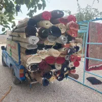 قالیشویی همشهری