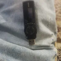 فلش ،ضبط صدا صونی