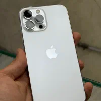 13 pro max