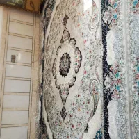 فرش 12متری 1000 شانه|فرش|اهواز, کمپلو شمالی|دیوار