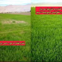 ده هکتار زمین کشاورزی با چهار اینج آب