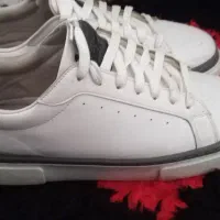 کفش ونس|کیف، کفش، کمربند|شاهین دژ, |دیوار