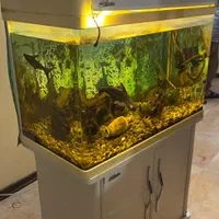 آکواریوم شیشه خم 100 لیتری با کمد MDF