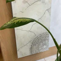 همکار ادمین در اینستاگرام