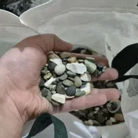 لوازم اکواریم و پرنده