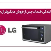 ماکروفر الجی