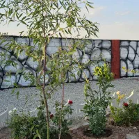 باغچه ۲۵۰ متری سند تک برگ|فروش زمین و ملک کلنگی|تهران, یافت آباد جنوبی|دیوار