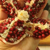 انار یلدایی شکفته و بسته  دست ساز|مجسمه، تندیس، ماکت|دزفول, |دیوار